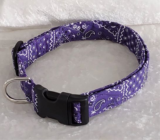 DOGS and CATS (image for) DOGS and CATS